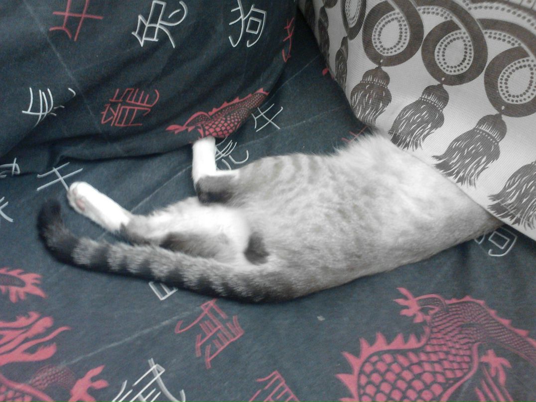 Александр Симонов фотография #43