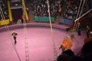 Вікусік Кукусік-Паленга фотография #22 (источник - https://vk.com/id170560536)