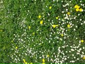 Надія Мовчан фотография #29 (источник - https://vk.com/id100976031)