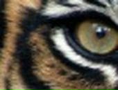 Віталій Коломієць фотография #33 (источник - https://vk.com/id72346397)