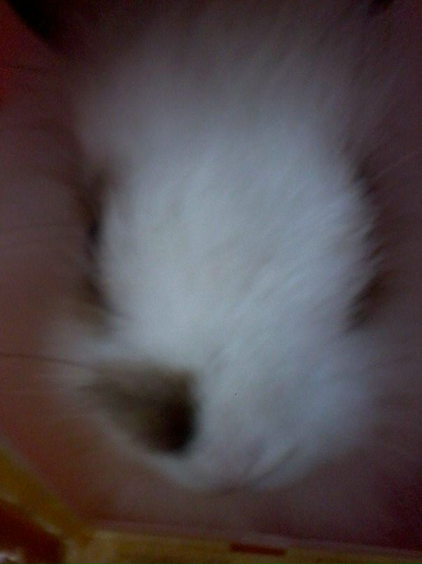 Shnyfel @) фотография #25