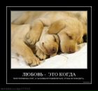 Igorko Sema фотография #13 (источник - https://vk.com/id20006038)