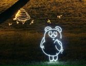 Фотография Вишневской Анастасии