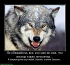 Фотография Казанцева Ивана