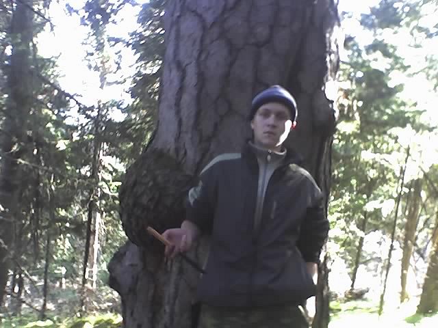 Александр Сережкин фотография #29