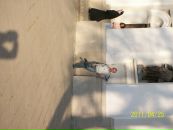 Анатолій Гутора фотография #17 (источник - https://vk.com/id93824103)