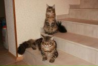 Фотография Варначевой Екатерины