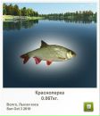Віталій Пастрама фотография #19 (источник - https://vk.com/id34071171)