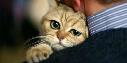 Valeriya Tužikova фотография #29 (источник - https://vk.com/id3017648)