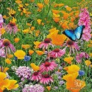 Валерія Бурда фотография #12 (источник - https://vk.com/id67222478)