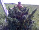 Віталік Мелесь фотография #26 (источник - https://vk.com/id66118298)