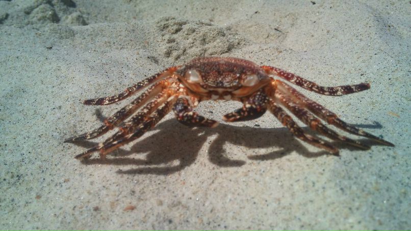 Дмитрий Каваленко фотография #40