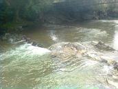 Оксана Біжинська фотография #16 (источник - https://vk.com/id20380908)