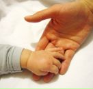 Фотография Павловой Светланы