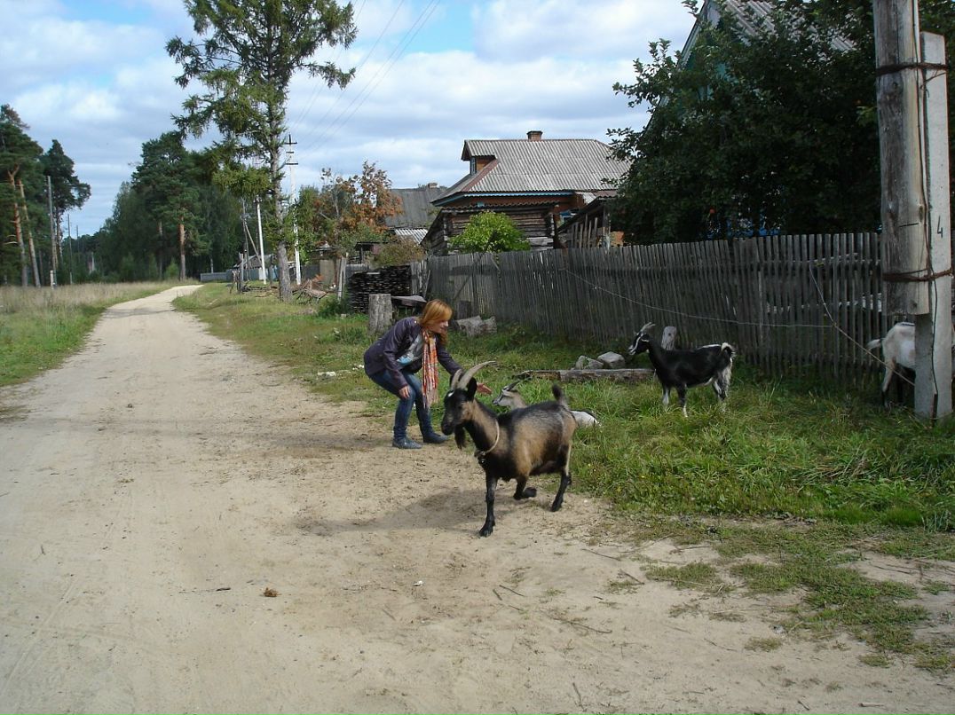 Игорь Kochenoff фотография #12