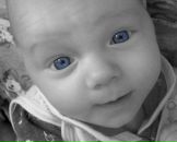 Фотография Крафта Александра