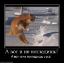 Ігор Meksilol фотография #15 (источник - https://vk.com/id67121156)