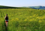 Фотография Козловой Даши