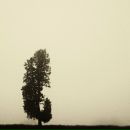 Светлана Крылова фотография #45 (источник - https://vk.com/id42390)