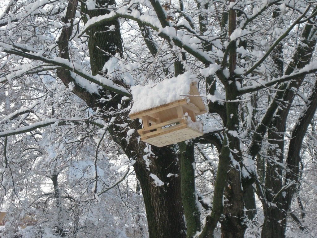 Илья Ерошенко фотография #7