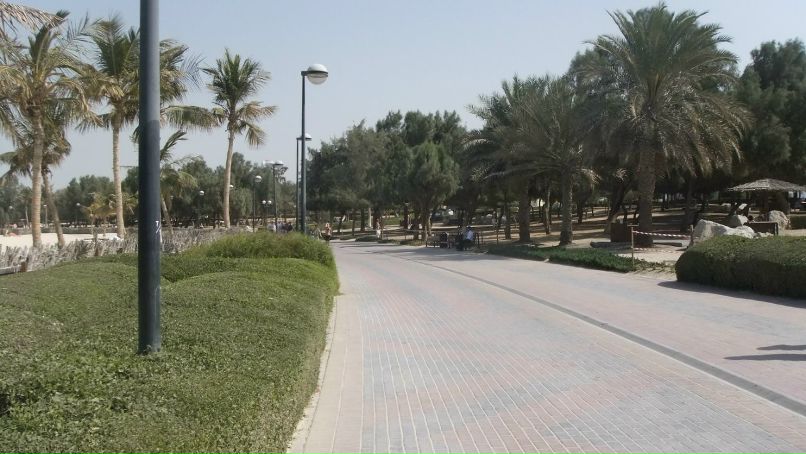 Андрей Сидоренко фотография #31