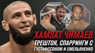 Хамзат Чимаев - трешток, популярность, спарринги с Густафссоном и Емельяненко